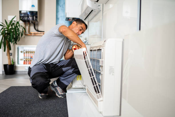 Air Duct Mold Removal in MD